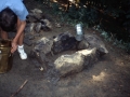 Grossfahrt des Stammes Raubvoegel, 1988 in den Bayerischen Wald, 22.07.1988 bis 07.08.1988, angegeben bei den Bildern  ist das Anfangsdatum, weil das Tagesdatum nicht mehr bekannt ist