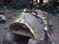 Grossfahrt des Stammes Raubvoegel, 1988 in den Bayerischen Wald, 22.07.1988 bis 07.08.1988, angegeben bei den Bildern  ist das Anfangsdatum, weil das Tagesdatum nicht mehr bekannt ist