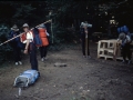 Grossfahrt des Stammes Raubvoegel, 1988 in den Bayerischen Wald, 22.07.1988 bis 07.08.1988, angegeben bei den Bildern  ist das Anfangsdatum, weil das Tagesdatum nicht mehr bekannt ist
