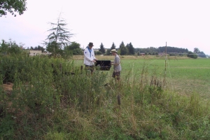 2001-01 Heimbau