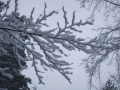 Winterlager05-045