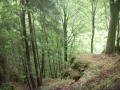 Stafuefahrt-029