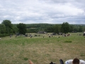 Burgund-0060