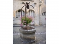 Burgund-0239