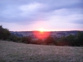 Burgund-0295