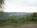 Burgund-0311