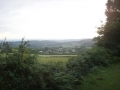 Burgund-0350