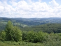 Burgund-0453