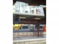 Burgund-0582