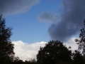 Burgund-0655