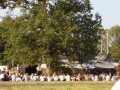 Burgund-0701