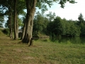 Burgund-0716
