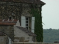 Burgund-0882