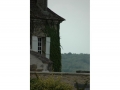 Burgund-0883