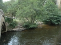 Burgund-0911
