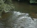 Burgund-0914