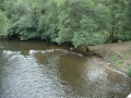 Burgund-0917