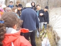 dasparfuem-030.jpg