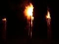 Buisfe01-200