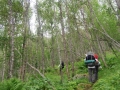 norwegen02-0067
