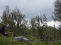 norwegen02-0072
