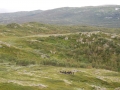 norwegen02-0079