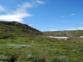 norwegen02-0119