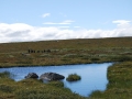 norwegen02-0123