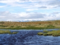 norwegen02-0124