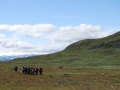norwegen02-0129
