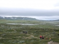 norwegen02-0150