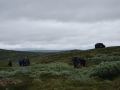 norwegen02-0163