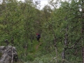 norwegen02-0184