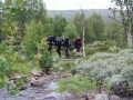 norwegen02-0191
