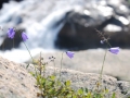 norwegen02-0246