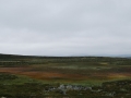 norwegen02-0287