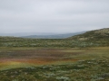 norwegen02-0288