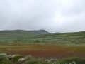 norwegen02-0303