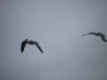 norwegen02-0328