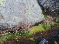 norwegen02-0359