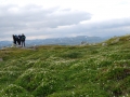 norwegen02-0401