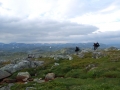 norwegen02-0402