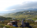 norwegen02-0408