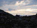 norwegen02-0419
