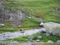 norwegen02-0509