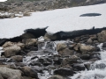 norwegen02-0517
