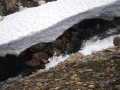 norwegen02-0529