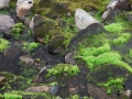 norwegen02-0532