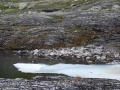 norwegen02-0545