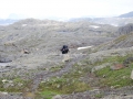 norwegen02-0577